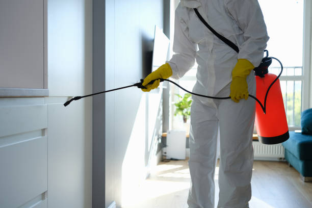 Best Bathroom Mold Remediation in Luxora, AR