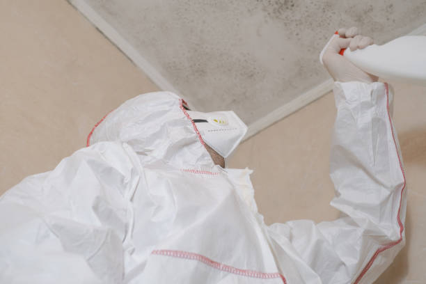 Best Health and Safety Mold Remediation in Luxora, AR